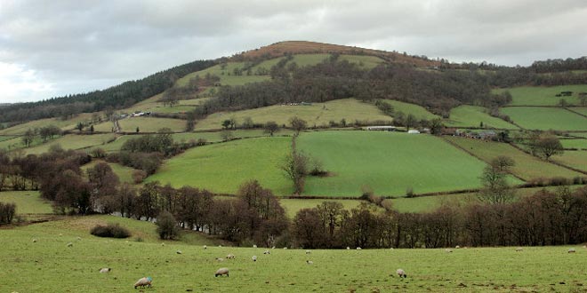 [i]Looking towards Garway Hill (Mike Hallett) [url=www.geograph.org.uk]Geograph[/url][/i]